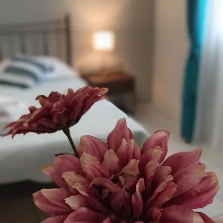 Casa de Férias Nerissa No 5