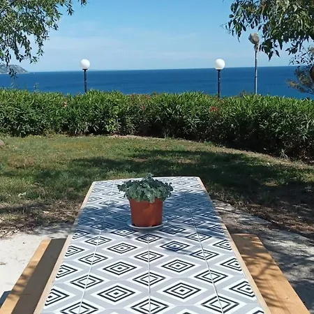 Nerissa No 5 Case de vacanță